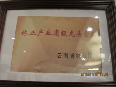 云狮木门_企业荣誉