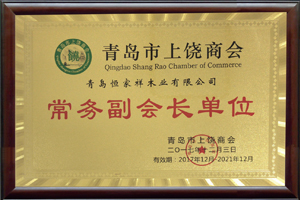恒家祥木门_常务副会长单位