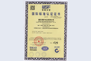 鼎萨木门_国际标准认证
