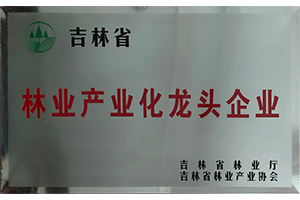 兄弟木门_荣誉