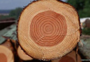 《中国木质门业标准》开始实施了！