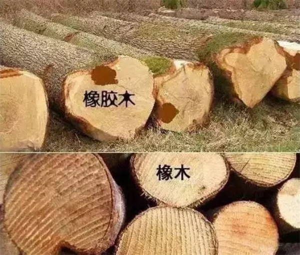 行业规范化建设