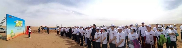 大自然家居：敢与我一起征战沙漠种梭梭树吗？