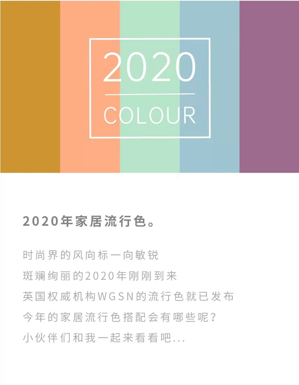 双驰门业：最IN2020家居流行色 流行搭配来了解一下吧