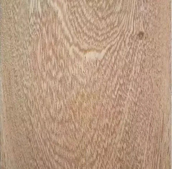 致盛木门：少木皮的分类小知识