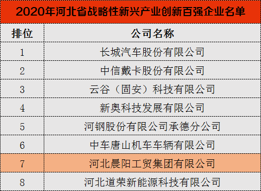 河北晨阳工贸集团再次入选河北省战略性新兴产业“双百强”企业榜单 