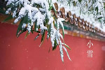 A8空间极简定制:小雪，让家因爱而温暖