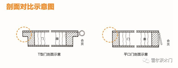 解读霍尔茨T型门的优势