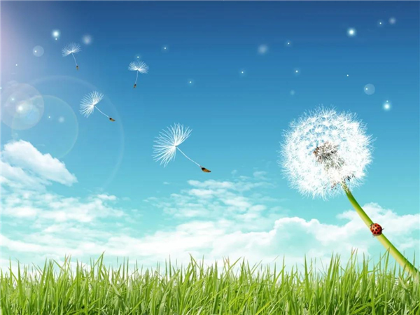 義元荣尚木门丨意式水性涂装 即装即住自在呼吸