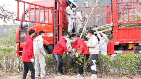 霍尔茨木门绿色植树活动圆满结束