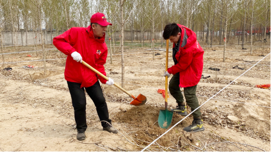 霍尔茨木门绿色植树活动圆满结束