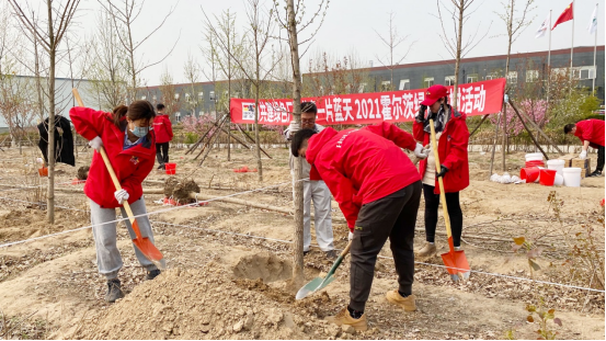 霍尔茨木门绿色植树活动圆满结束