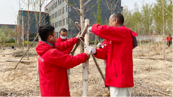 霍尔茨木门绿色植树活动圆满结束