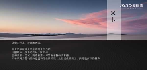 爱瑞德全屋定制