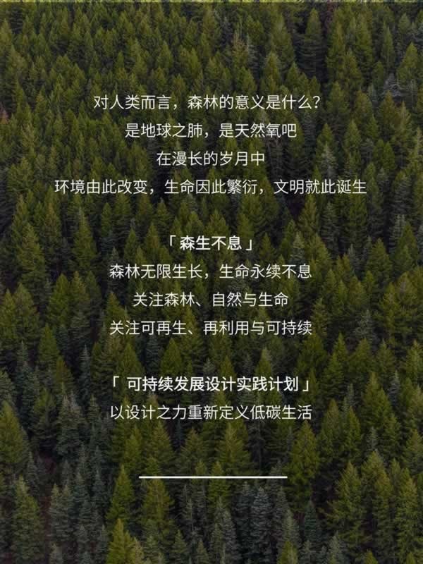 图森木业
