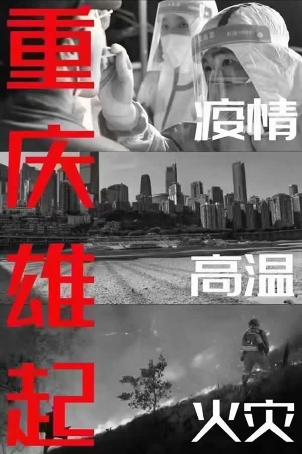 科派木门