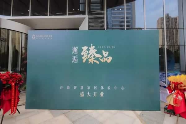 庄致家居