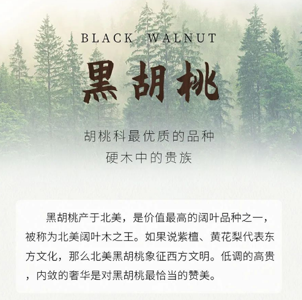 【一木定制】关于黑胡桃，你知道多少