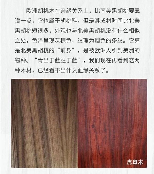 【一木定制】关于黑胡桃，你知道多少
