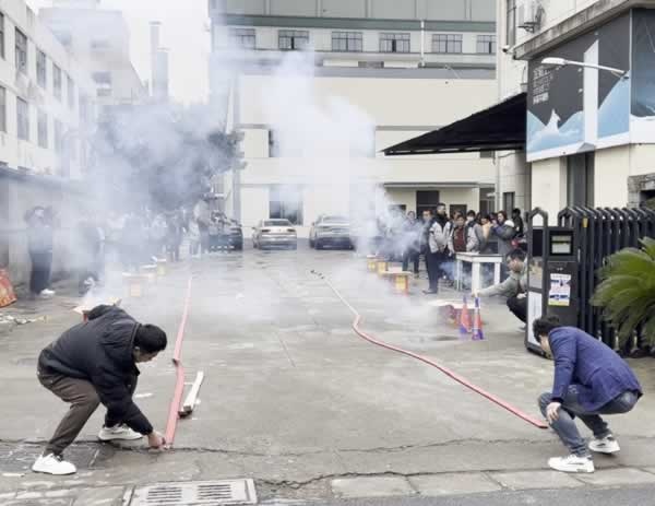 金骑士木门