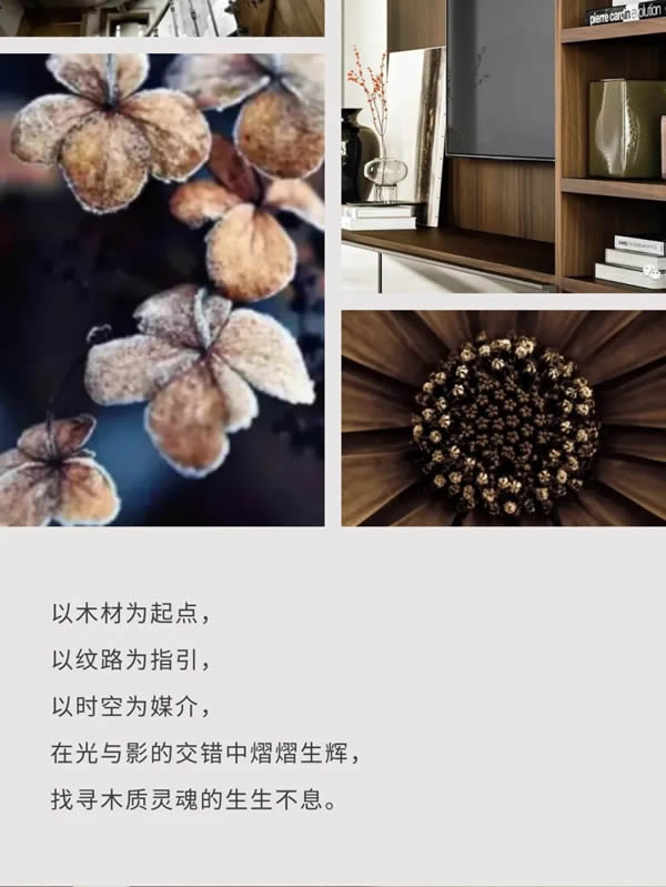 科派木门·你想要的品质木门在这里