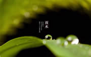 科派木门·今日雨水 | 好雨知时节，当春乃发生