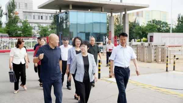 3D无漆木门