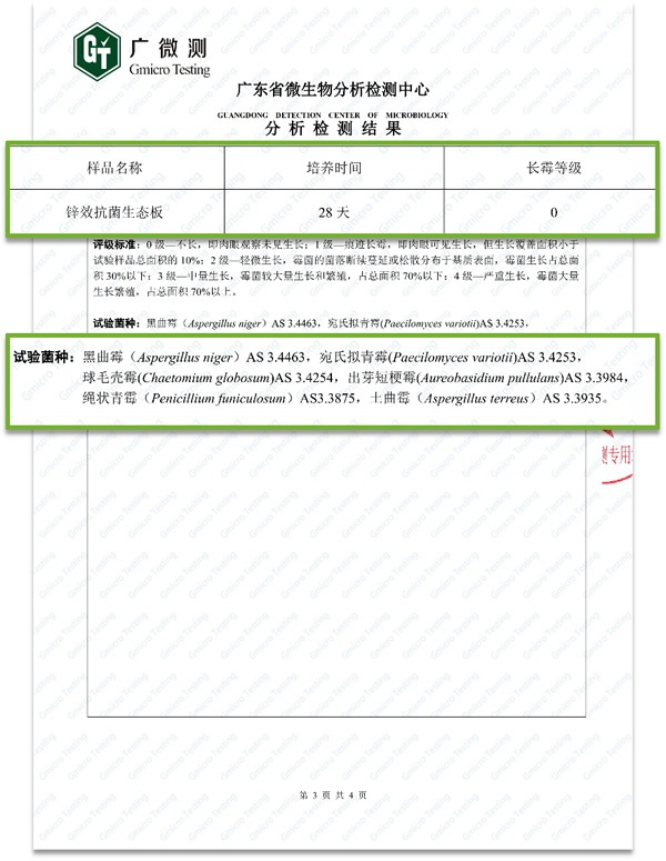 千年舟