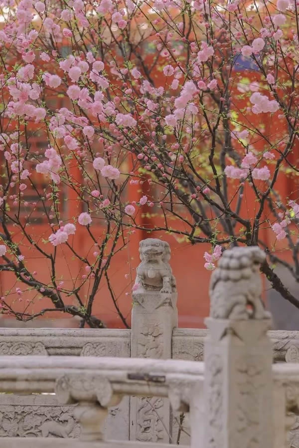 天坛整装