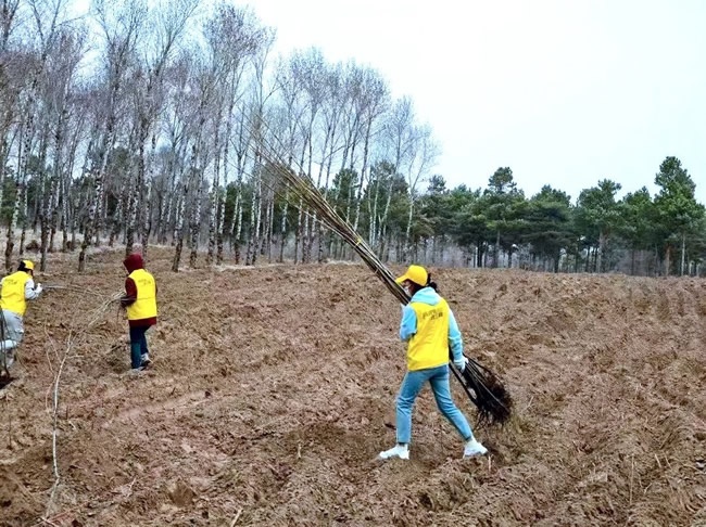三峰整家定制