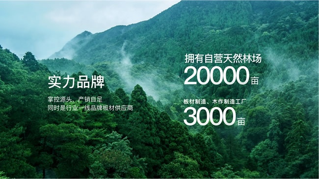 美尼美快装定制