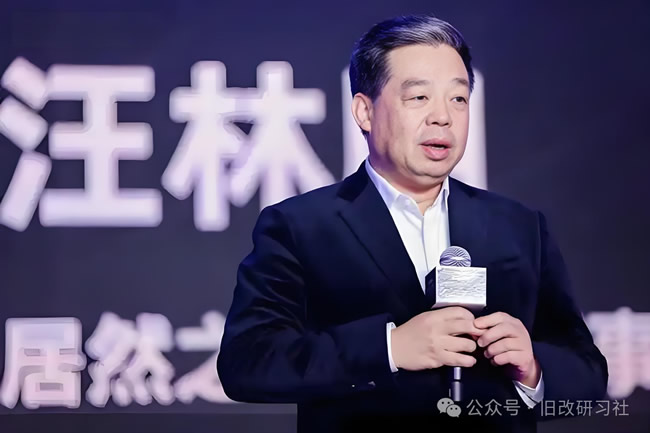 居然之家董事长汪林朋遭监察留置，原因曝光？